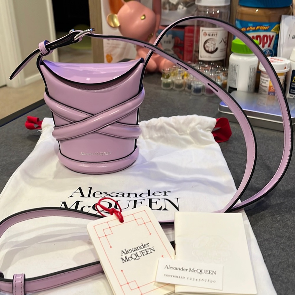 🔥100% Alexander McQUEEN 

The Curve Mini Bag